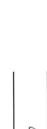 Board Member Signature 2