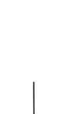 Board Member Signature