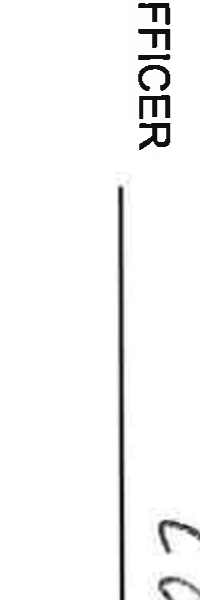 Fiscal Officer Signature