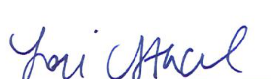 Signature of Clerk of Council