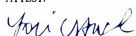 Signature of Clerk of Council