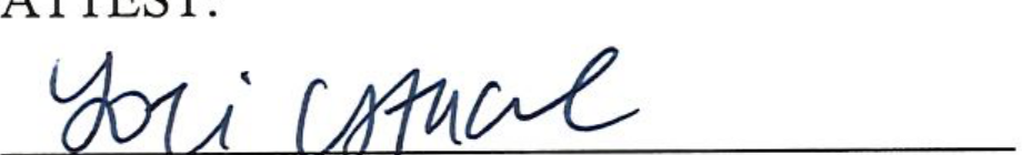 Signature of Clerk of Council