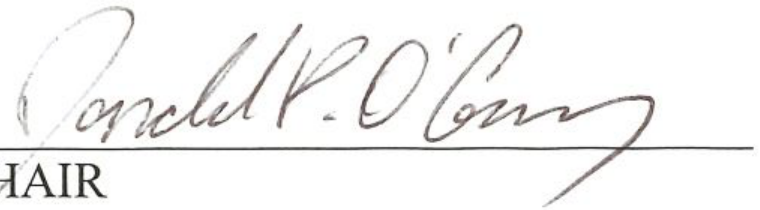 Handwritten signature of the Chair