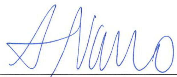 Handwritten signature of the Clerk