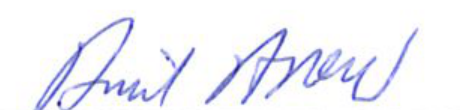 Handwritten signature of the Chair