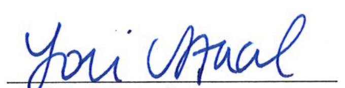 Signature of Clerk of Council