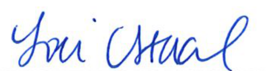 Signature of Lori Stual, Clerk of Council