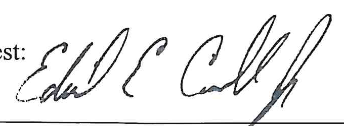 Signature of Ed Carrol Jr.