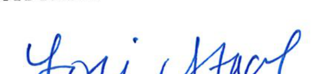 Signature of Clerk of Council Jori Stael