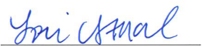Signature of Clerk of Council
