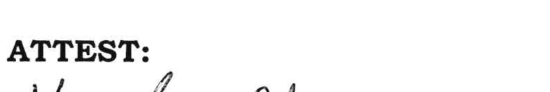 Kayla Shawver Signature